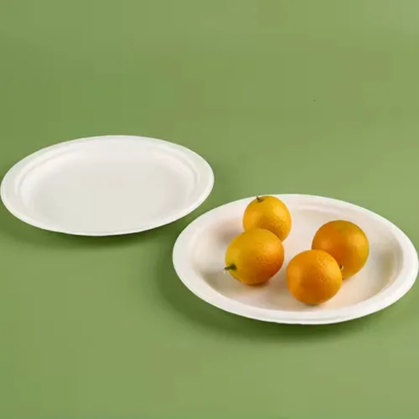 Bagasse Pulp Plate - Image 3