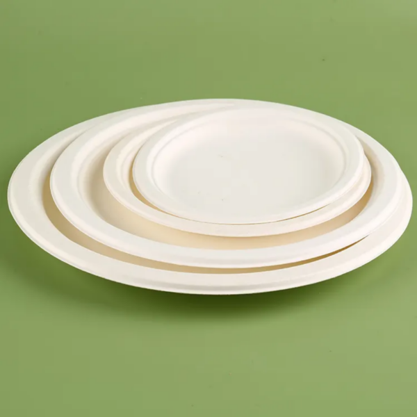 Bagasse Pulp Plate - Image 2