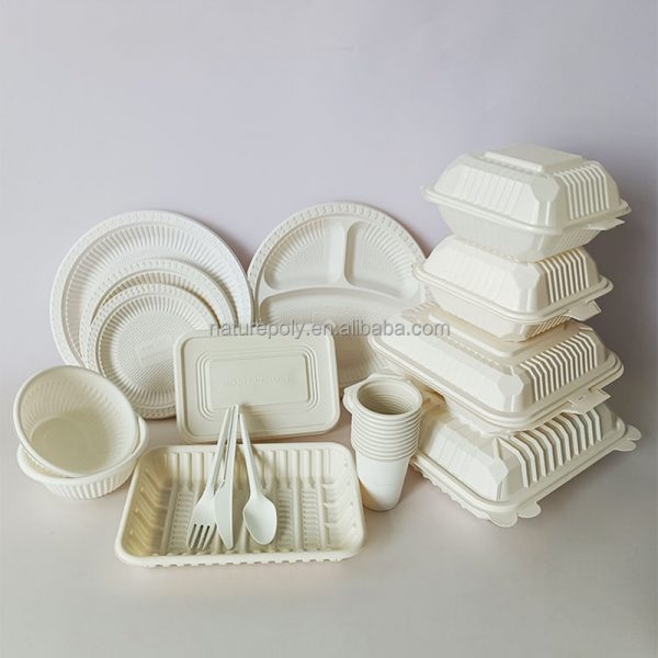 CPLA Disposable Lunch Box - Image 5