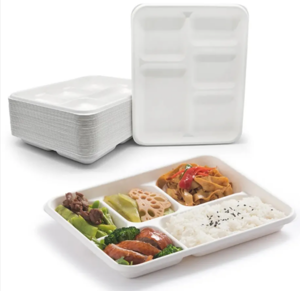 Bagasse Pulp Tray - Image 3