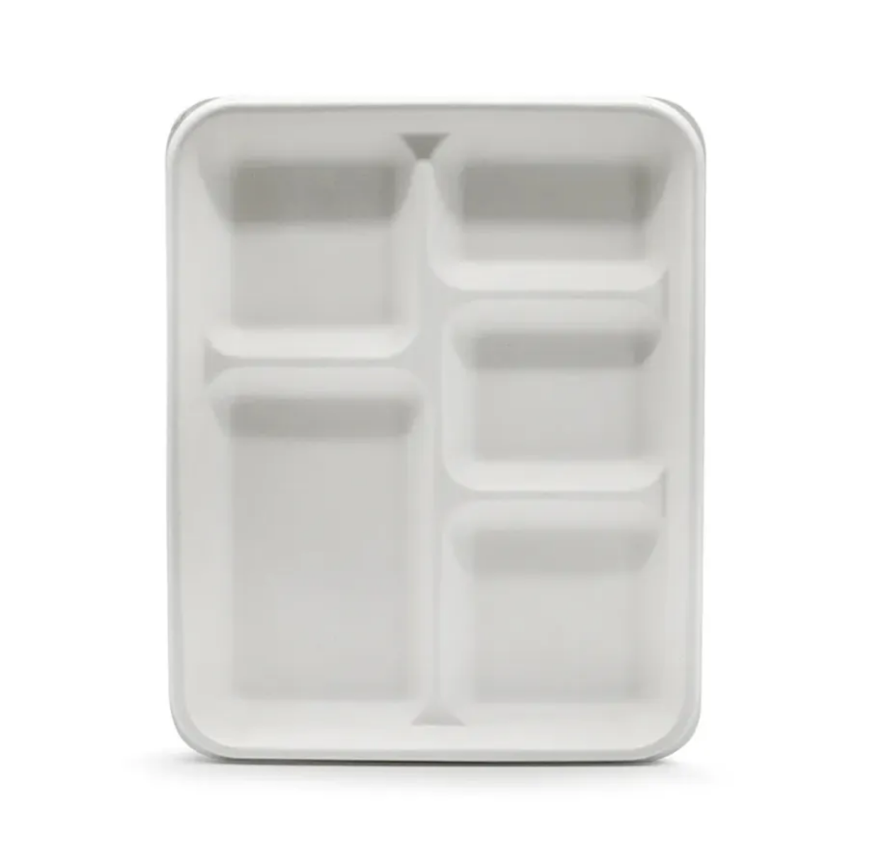 Bagasse Pulp Tray
