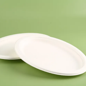 Bagasse Pulp Plate