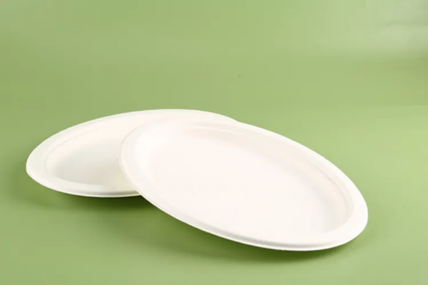Bagasse Pulp Plate