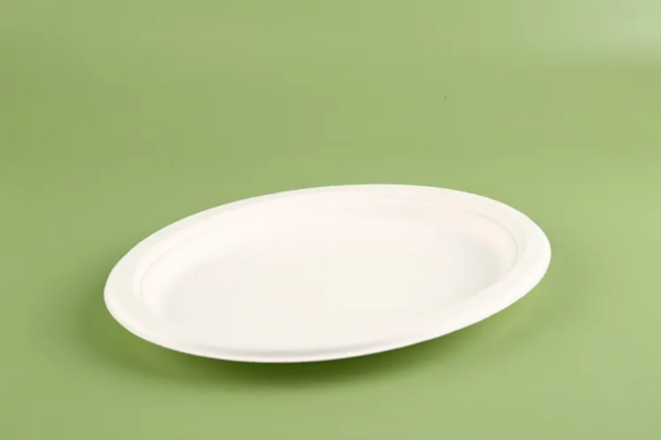 Bagasse Pulp Plate - Image 4