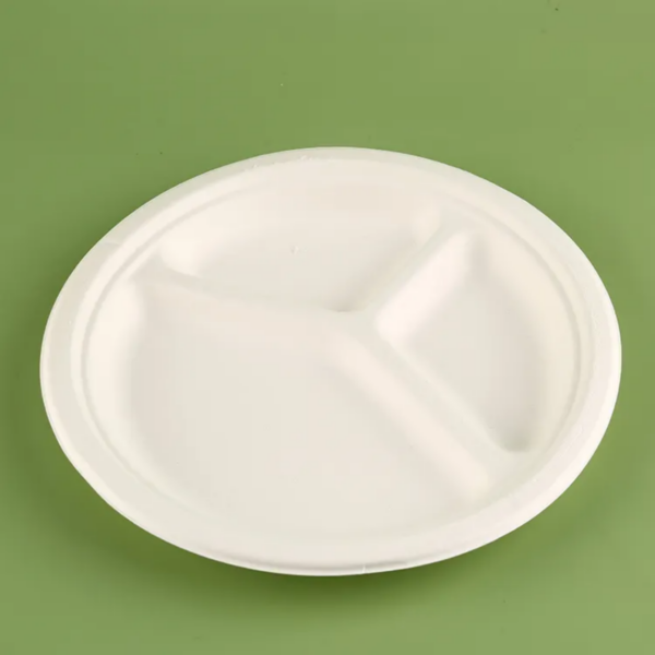 Bagasse Pulp Plate - Image 5