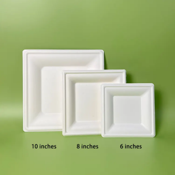 Bagasse Pulp Plate - Image 8