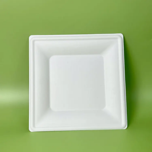 Bagasse Pulp Plate - Image 7