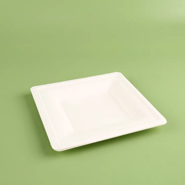 Bagasse Pulp Plate - Image 6