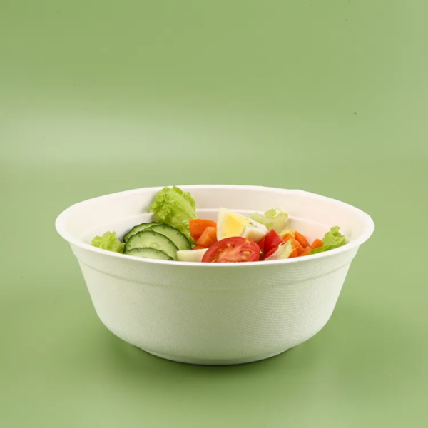 Bagasse Pulp Bowl - Image 5