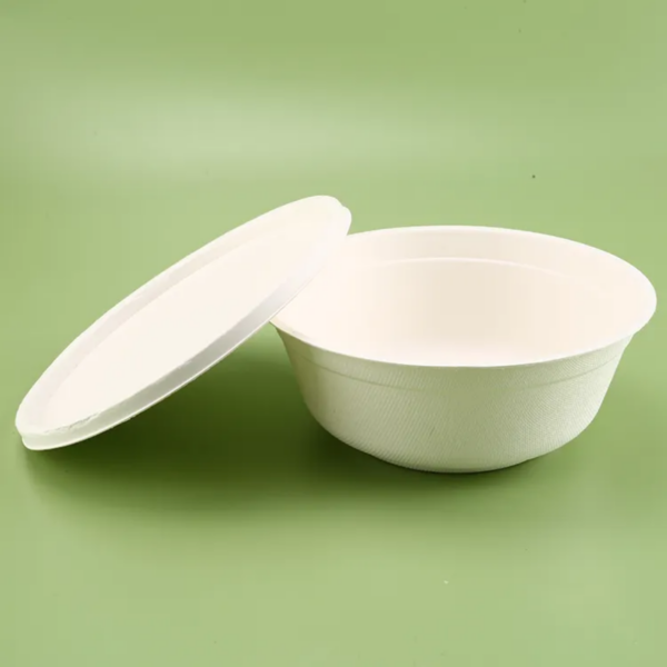 Bagasse Pulp Bowl - Image 4