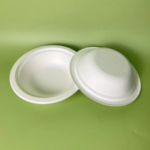 Bagasse Pulp Bowl