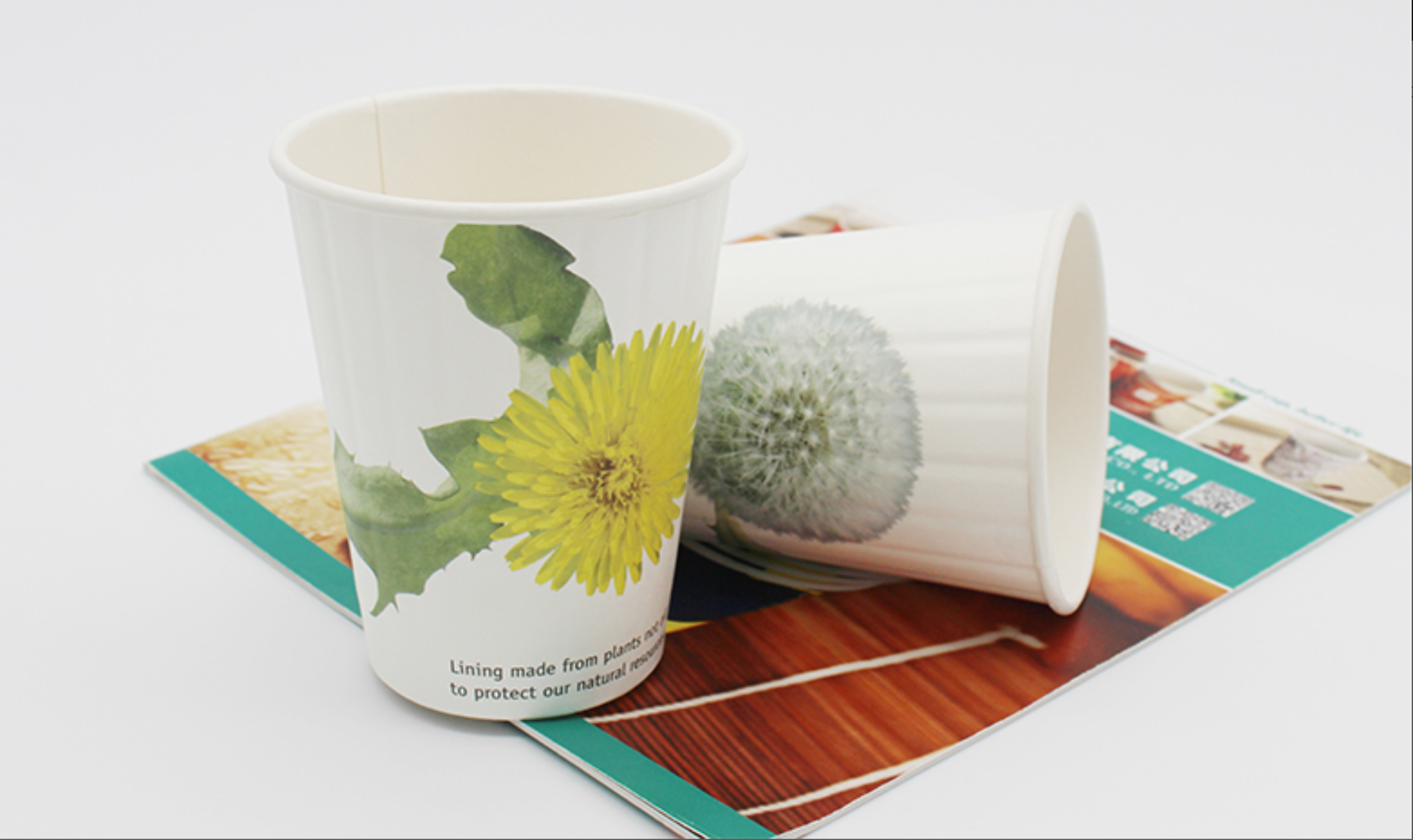 Aqueous lined Embossed Paper cup